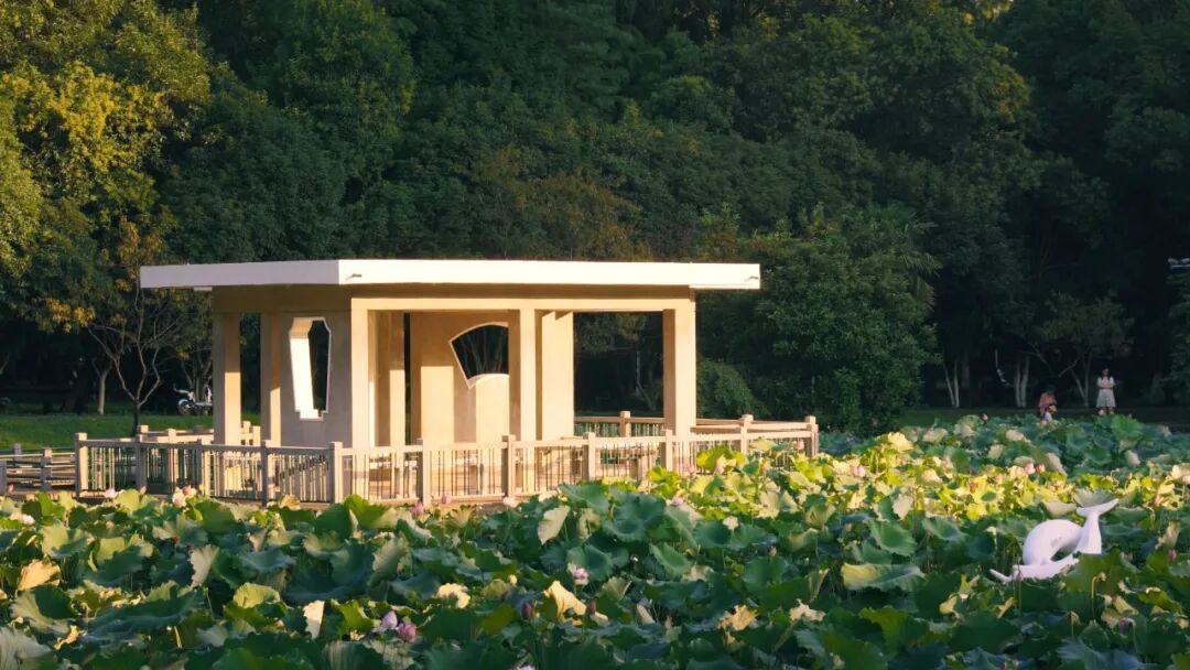 华中科技大学强基计划招生简章_大学招生_华中科技大学强基计划报名条件